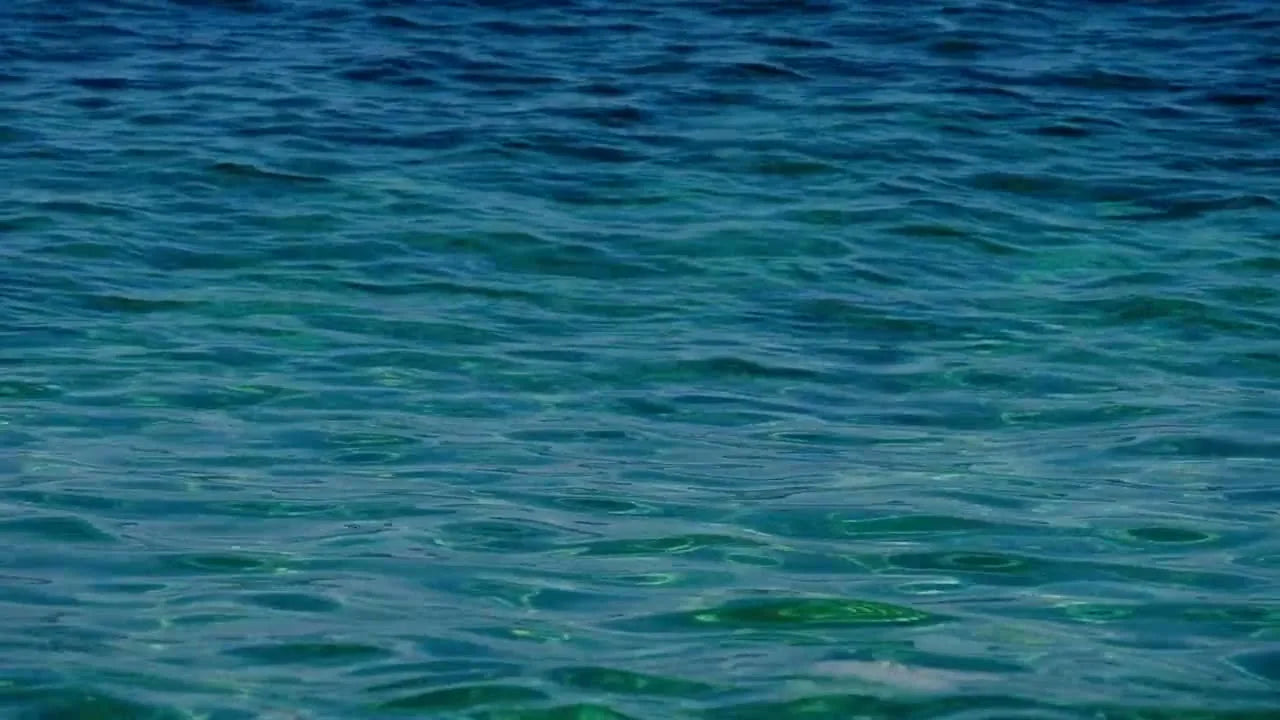 Reduces chlorine